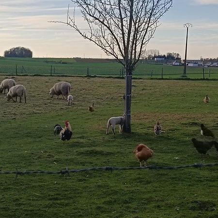 Gite Des 3 Marcassins Preaux Esterno foto
